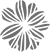 ANAPLASIS Daily Care Intuizoon