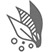 DERMYCIS SHAMPOO Complementary Therapies Intuizoon